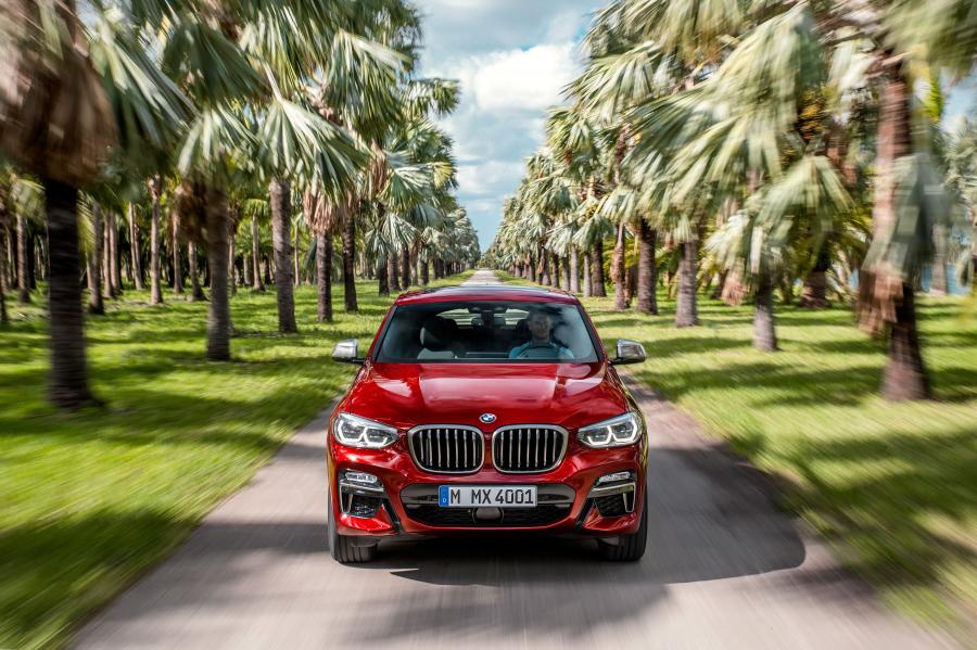  BMW X4 M40d (G02) 2018 года  (WW) (фото 15 из 213)